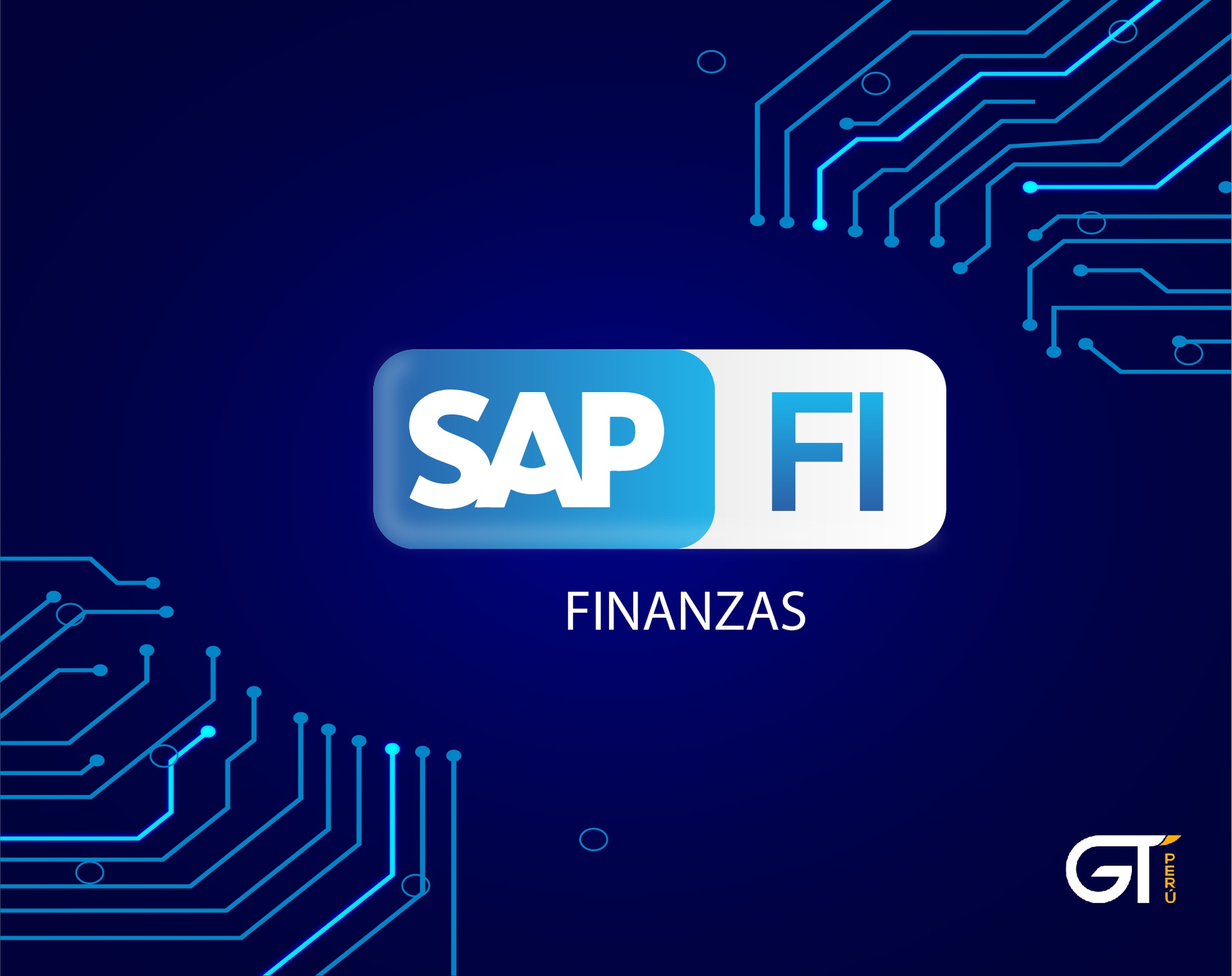 SAP Capacitación